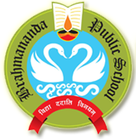 Brahmananda Public School